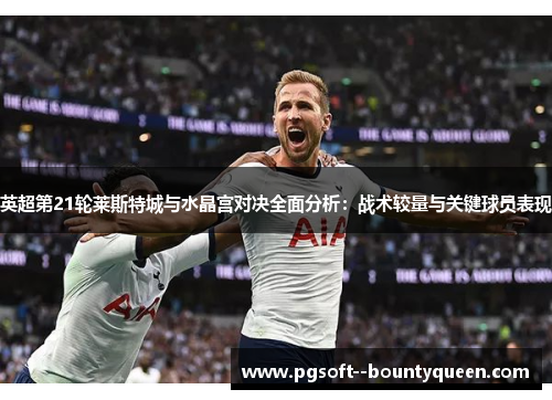 英超第21轮莱斯特城与水晶宫对决全面分析：战术较量与关键球员表现