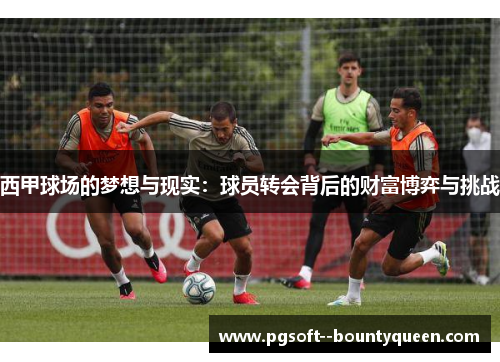 西甲球场的梦想与现实：球员转会背后的财富博弈与挑战